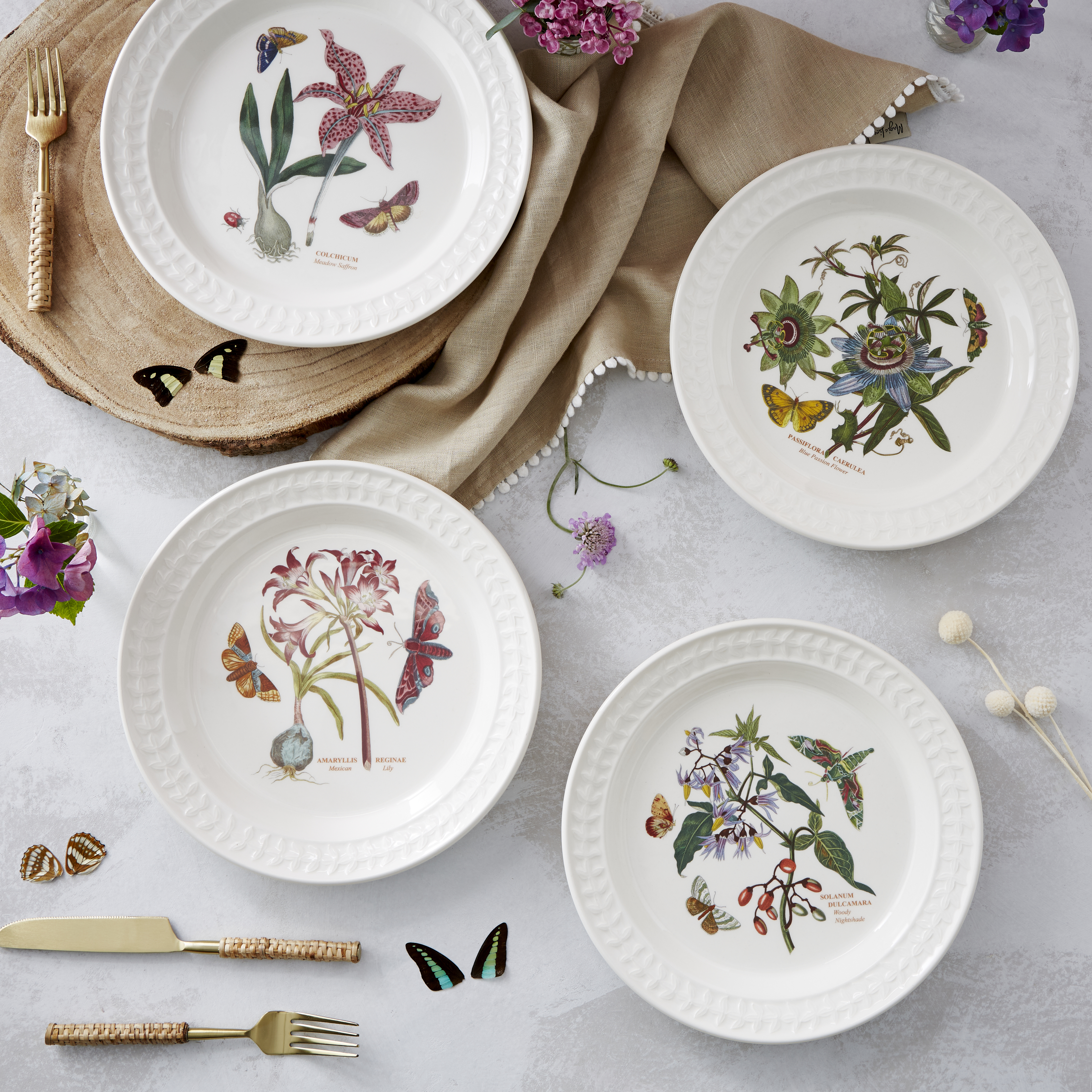 Botanic Garden Papilio set of 4 Dinner Plates image number null